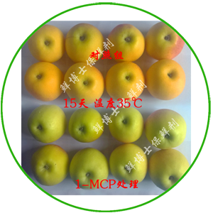 1-MCP處理嘎啦蘋果